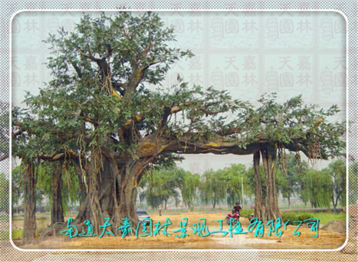 天嘉園林（假樹）